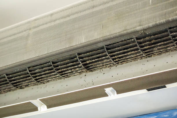 Best Local Air Duct Cleaning Services  in Suffolk, VA